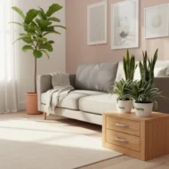 Spider plant & Snake plant with pot