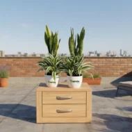 Spider plant & Snake plant with pot - Image 2