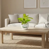 Golden money plant with pot - Image 4