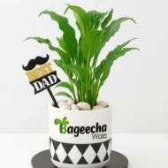 Piece Lilly with Sermic Pot (Outdoor)