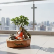 Ficus Bonsai & Succulent Plants with Ceramic Planter - Image 2