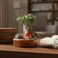 Ficus Bonsai & Succulent Plants with Ceramic Planter - Image 3