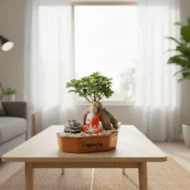 Ficus Bonsai & Succulent Plants with Ceramic Planter - Image 4