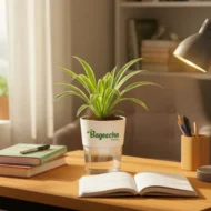 Spider Plant with Self-Watering Pot - Image 3