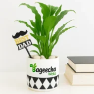 Piece Lilly with Sermic Pot (Outdoor) - Image 3