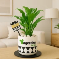 Piece Lilly with Sermic Pot (Outdoor) - Image 2