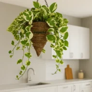 Ceramic Indoor Planter - Image 4