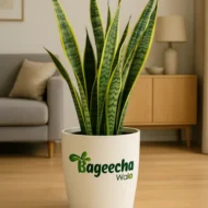 Ceramic Indoor Planter(outdoor) - Image 2