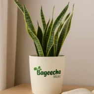 Ceramic Indoor Planter(outdoor) - Image 3