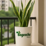 Ceramic Indoor Planter(outdoor) - Image 4