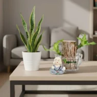 Lucky Brazilian Bamboo - Image 2