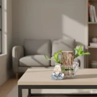 Lucky Brazilian Bamboo - Image 4