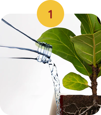 Fill the Water Reservoir