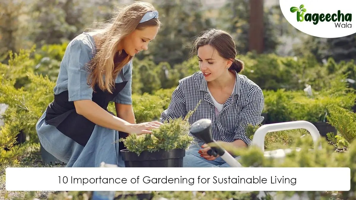 10 Importance of Gardening for Sustainable Living 