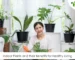 Indoor Plants and their Benefits for Healthy Living Bageechawala