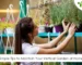 Simple Tips to Maintain Your Vertical Garden at Home