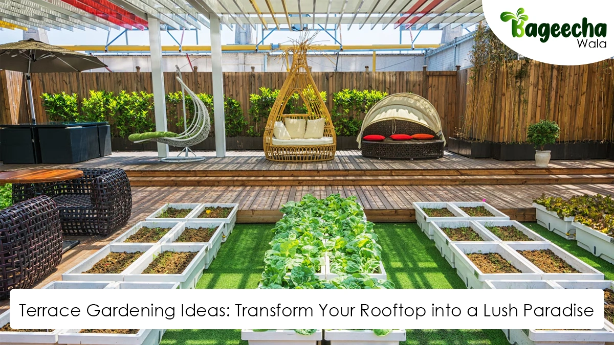 Terrace Gardening Ideas: Transform Your Rooftop into a Lush Paradise