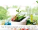 Top 10 medicinal plants and their health benefits Bageechawala